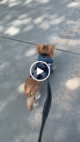 Customer video review of Playa Poncho - Surprise Color