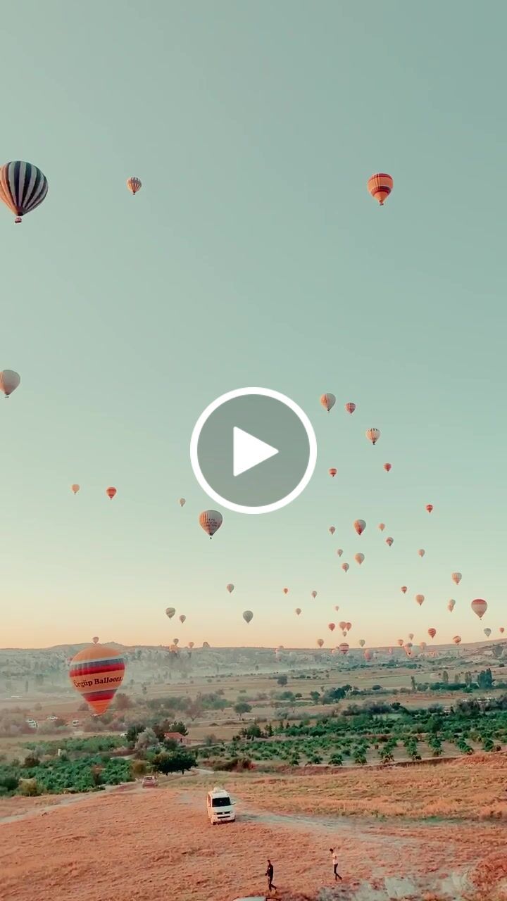 Customer video review of iPhone LUTs