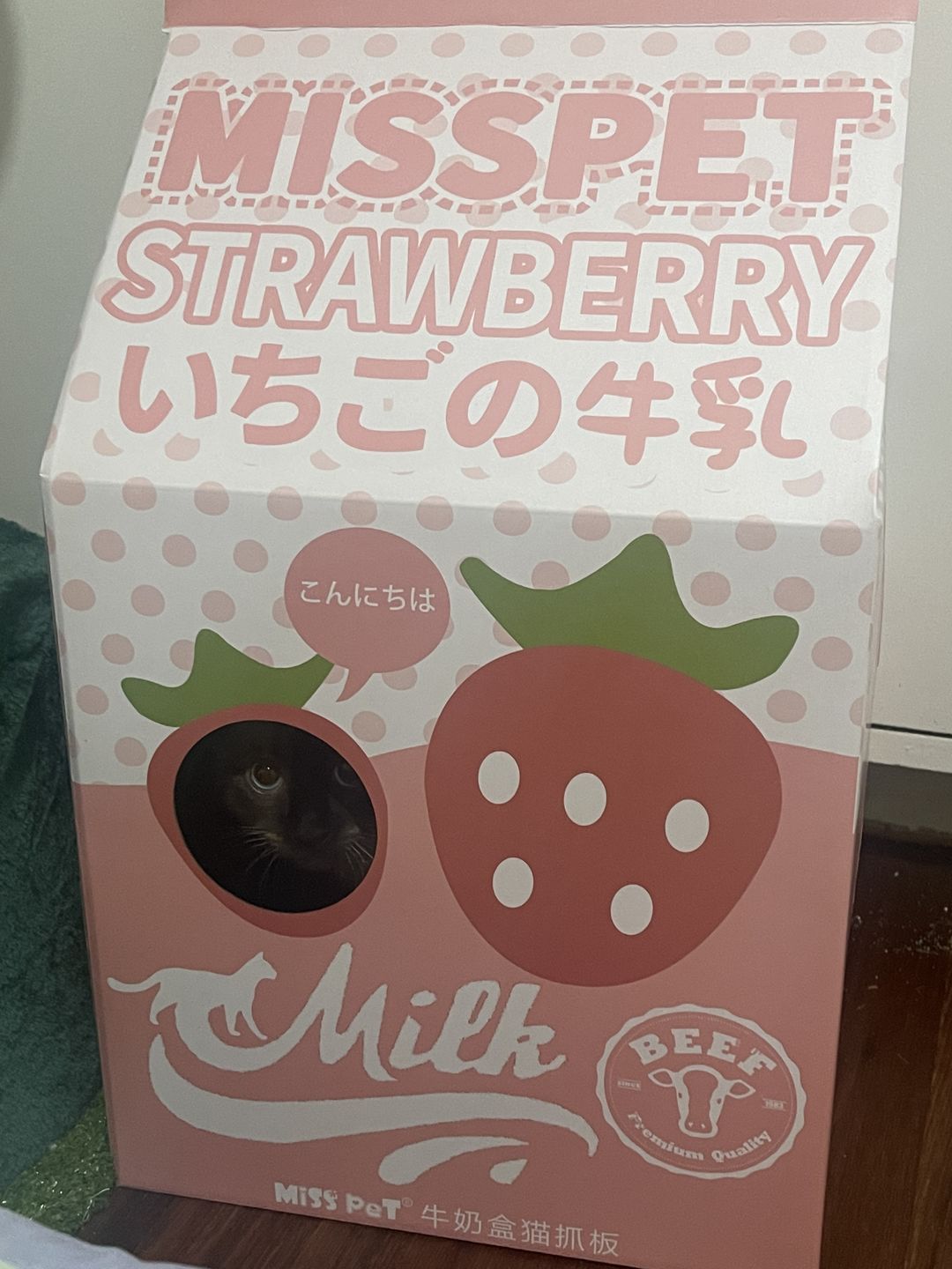 Customer photo review of Misspet Milk Box Cat Scratcher and Nest