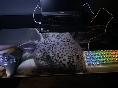 Customer photo review of Custom Gaming Mouse Pad