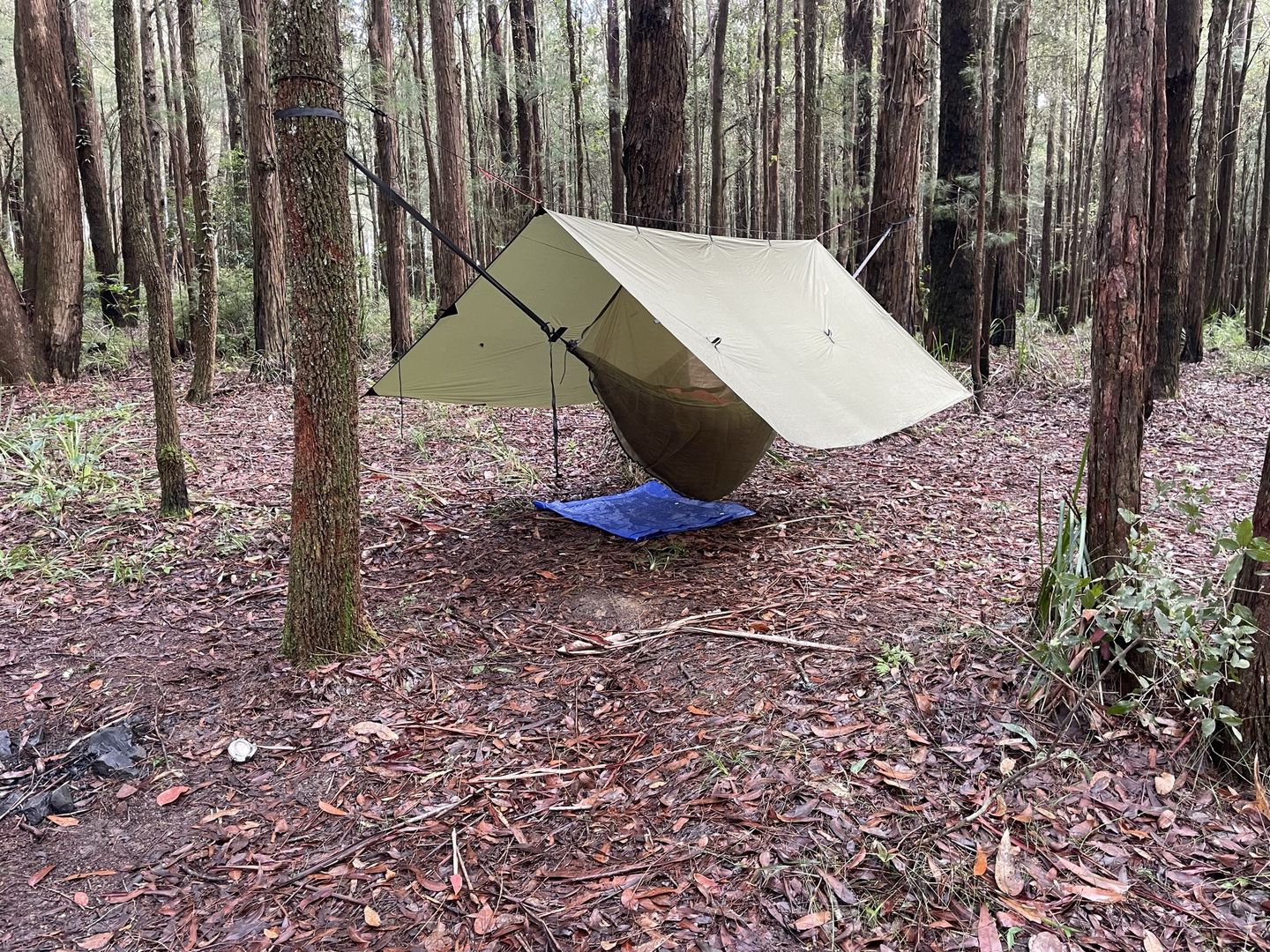 Customer photo review of Ultralight Hammock Set