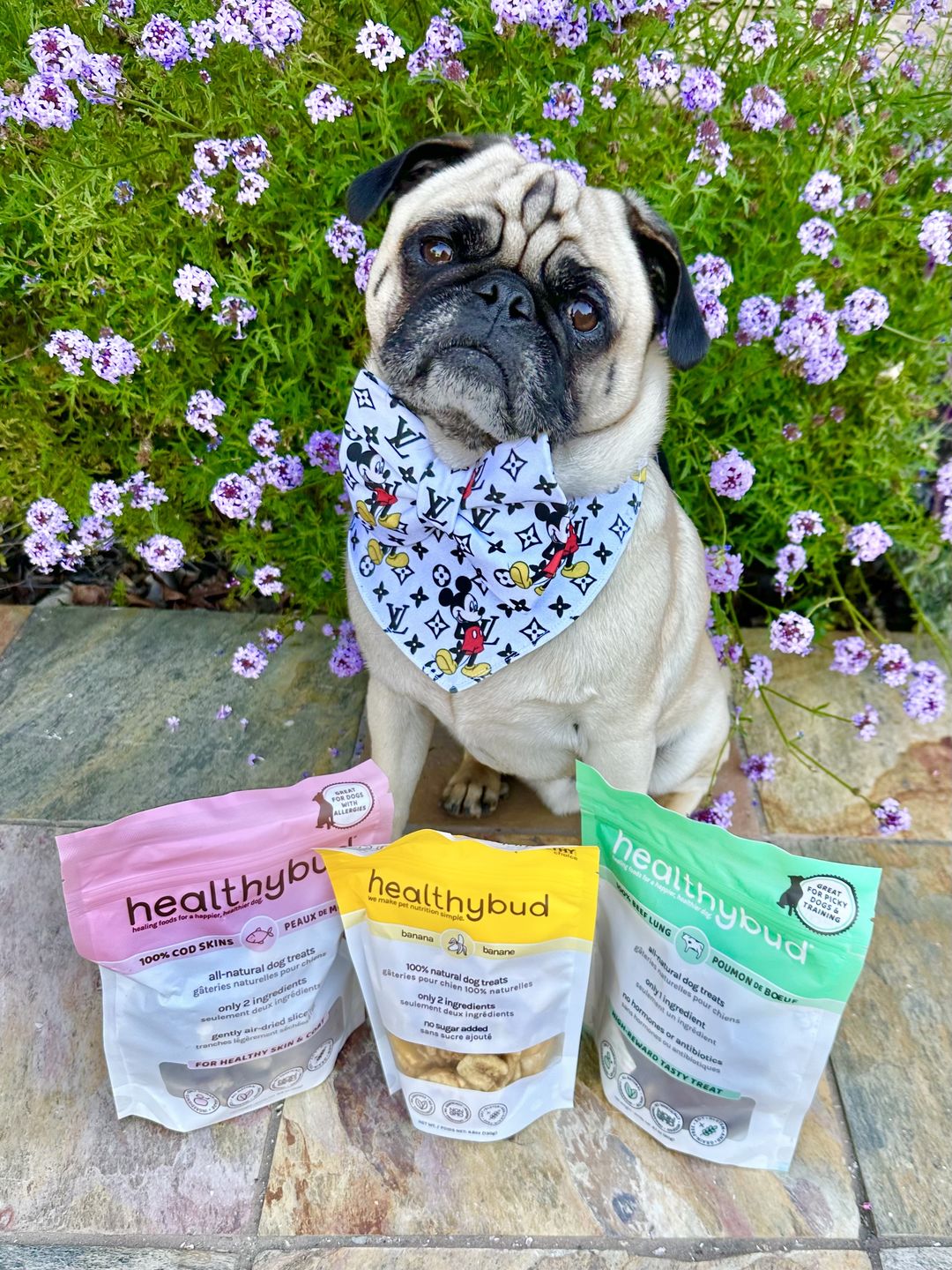 Customer photo review of Banana Chips