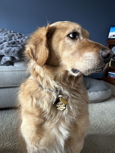 Customer photo review of Mountain Silicone