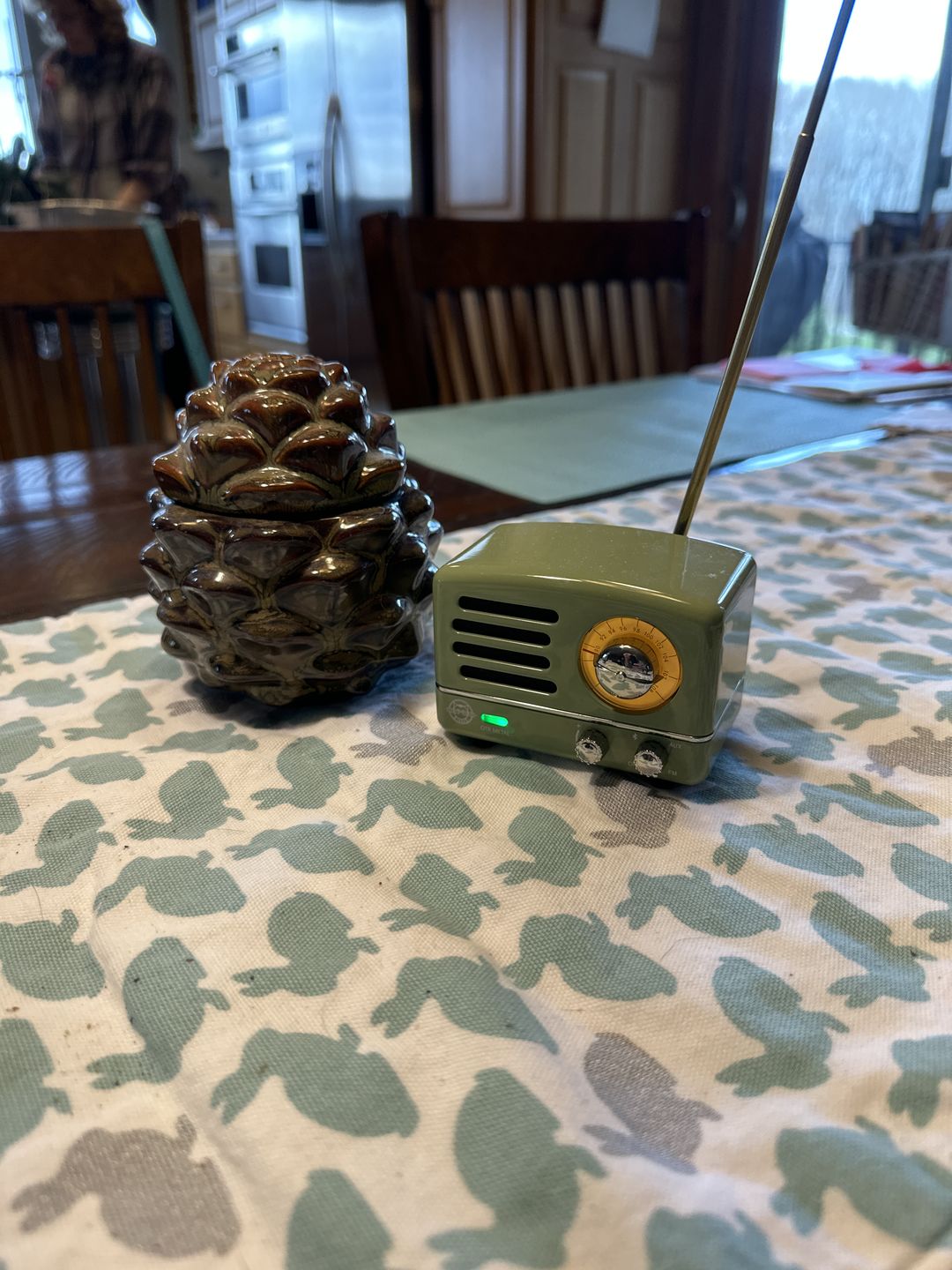Customer photo review of MUZEN OTR Metal Wireless Portable FM Radio Bluetooth Speaker