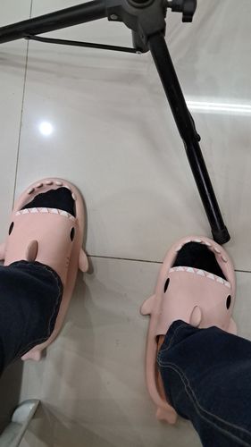 Customer photo review of The Original Shark Slides