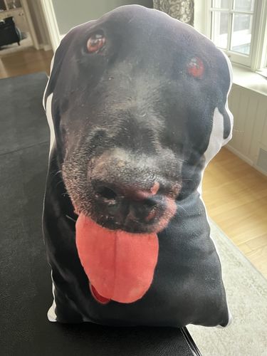 Customer photo review of Create A Custom Dog Pillow