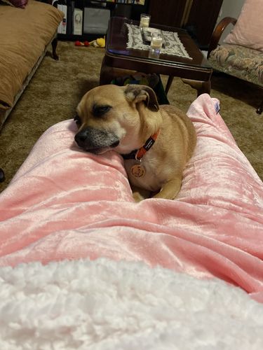 Customer photo review of Pink Snug Sac