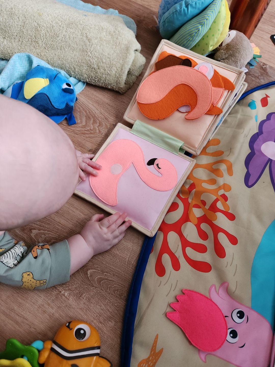 Customer photo review of The Diaper Bag Companion
