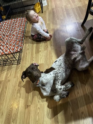 Customer photo review of Explorer