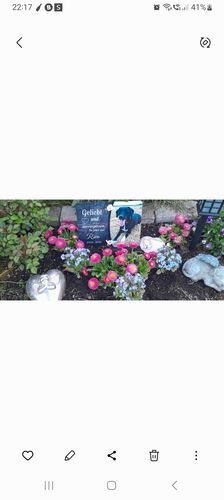 Customer photo review of Hunde Gedenktafel mit Foto & Spruch (UV- und wetterbeständig)