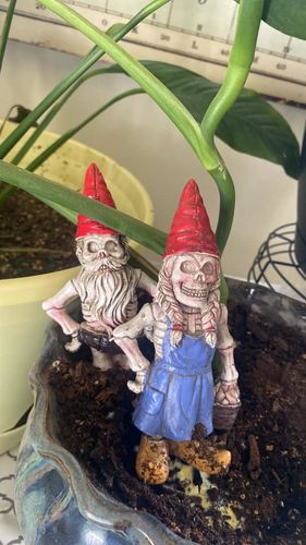 Customer photo review of Just Love Skulls Garden Gnomes