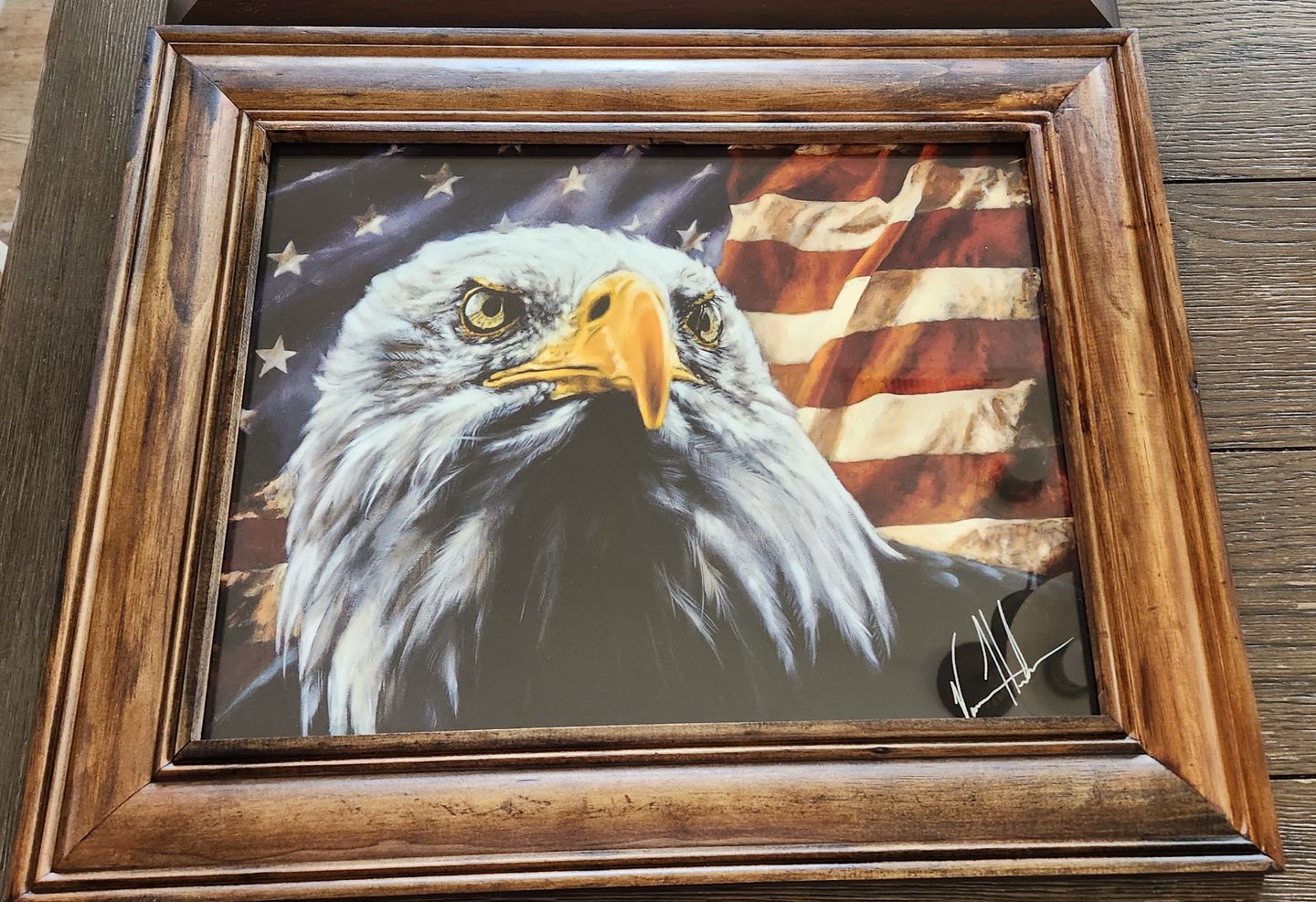 Customer photo review of The Fight for Freedom