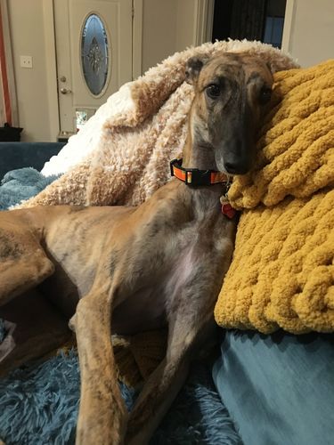 Customer photo review of Pink Silicone