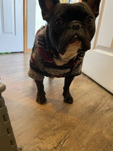 Customer photo review of Playa Poncho - Surprise Color