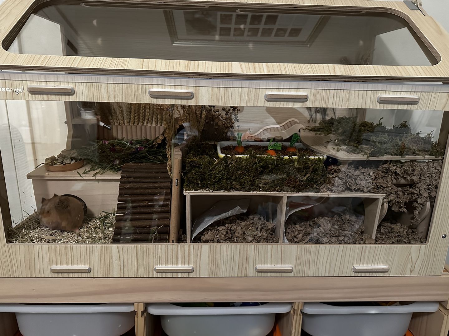 Customer photo review of Niteangel Vista Hamster Cage W/ Oblique Opening - MDF Aspen Small Animal Cage for Syrian Dwarf Hamsters Degus Mice or Other Similar-Sized Pets