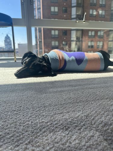 Customer photo review of Groovy sweater