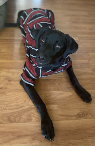 Customer photo review of Playa Poncho - Surprise Color