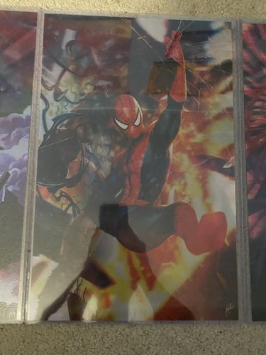 Customer photo review of 3D Triple Transition [Web Slangin'] Lenticular Print