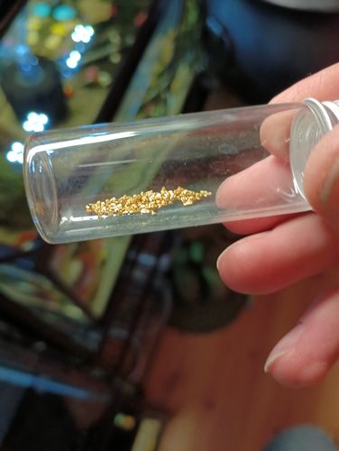 Customer photo review of Nugget Reserve 'MUSEUM SPECIMEN CHASE' - Gold Panning Paydirt Concentrate