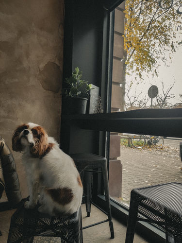 Customer photo review of INSTA PARADISE LIGHTROOM PRESETS