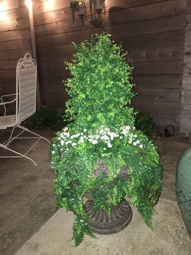 Customer photo review of Bulk 14" Faux Boxwood Shrubs Greenery Artificial Plants Outdoor UV Resistant Bulk