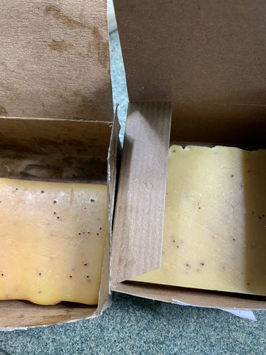 Customer photo review of Lemon Poppyseed Bar