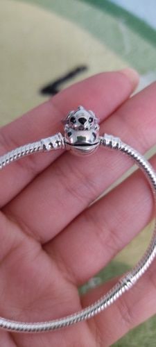 Customer photo review of Charm Bracelets