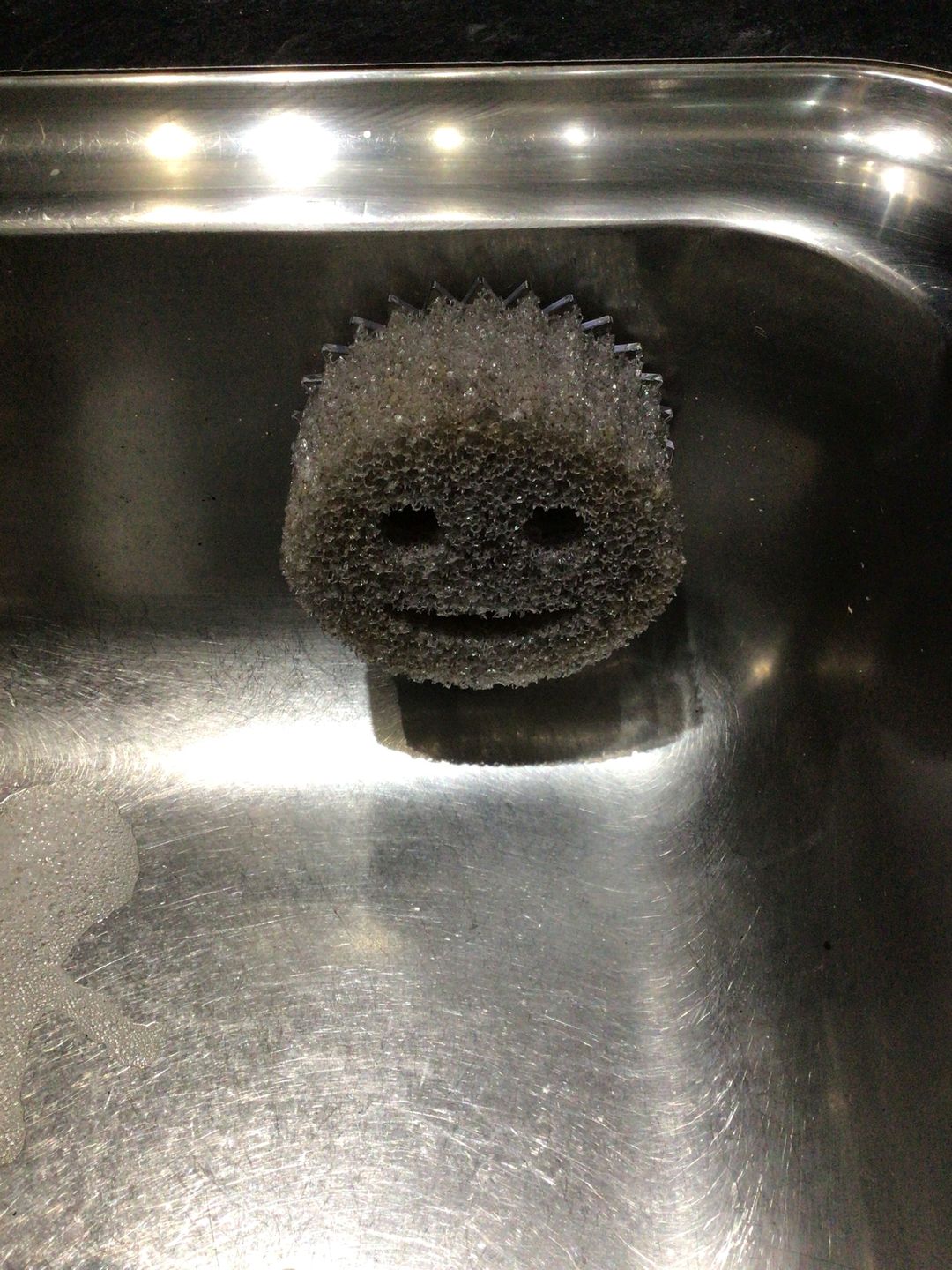 Customer photo review of Scrub Daddy 3 Pack