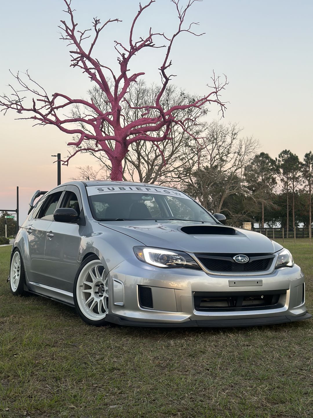 Customer photo review of Reverse Cut Windshield Banners