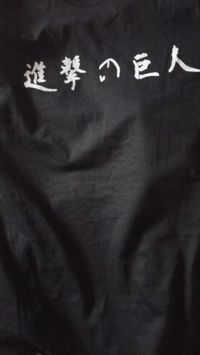 Customer photo review of Attack on Titan Eren Graphic Tee