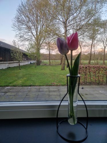Fotorecensie van een klant over Shadow Vaas Nr. 1