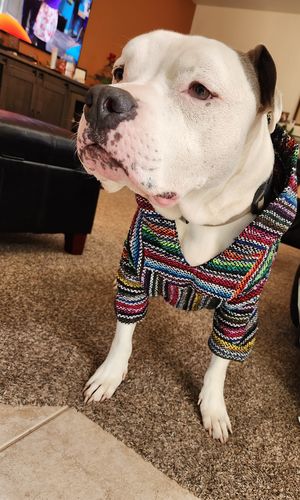 Customer photo review of Playa Poncho - Surprise Color