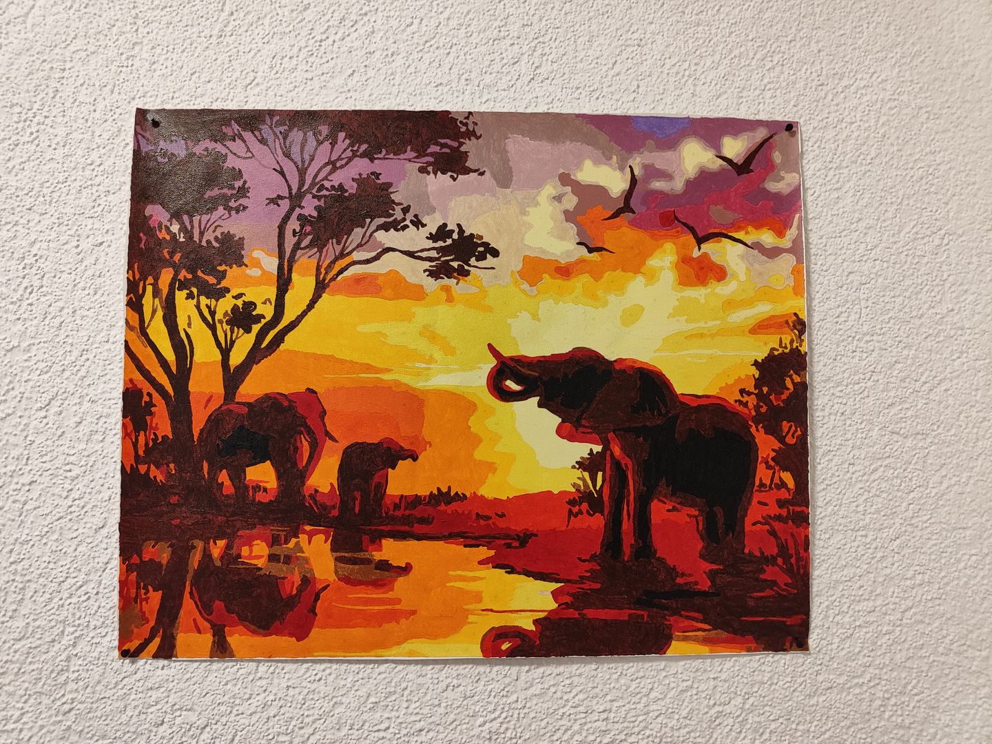 Customer photo review of Malen nach Zahlen - Afrikanische Savannenelefanten