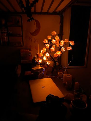 Customer photo review of Leddi™ Rose - Forever Rose Blomst Lampe