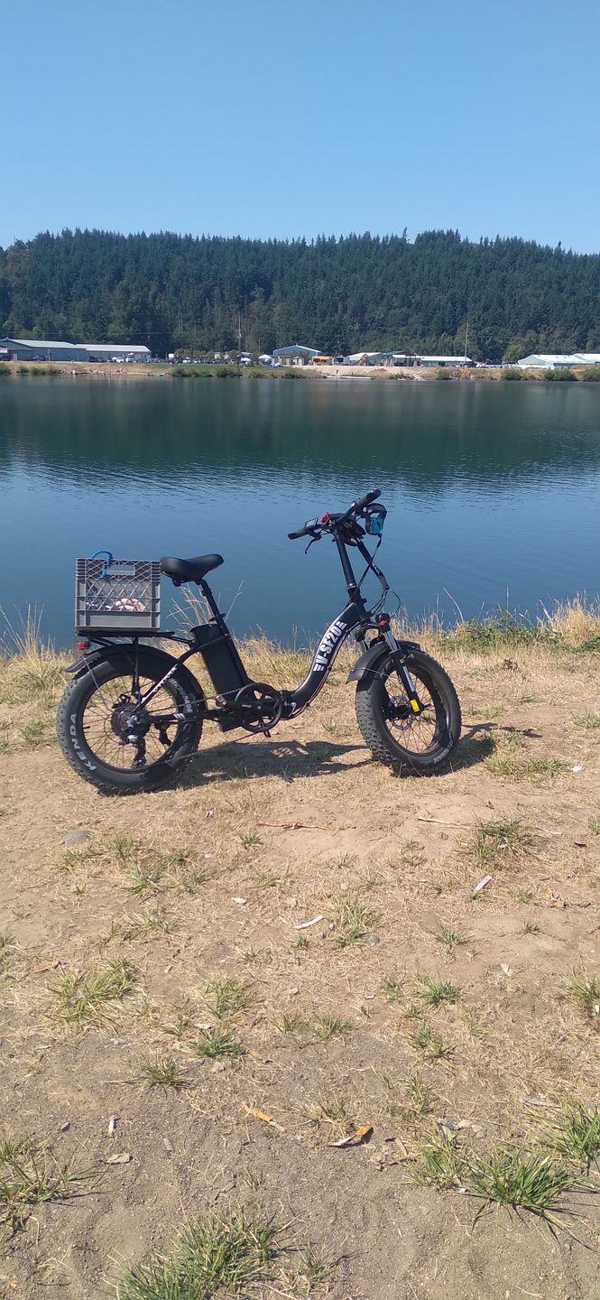 Customer photo review of SF20 Step-Thru Folding Fat Tire E-Bike