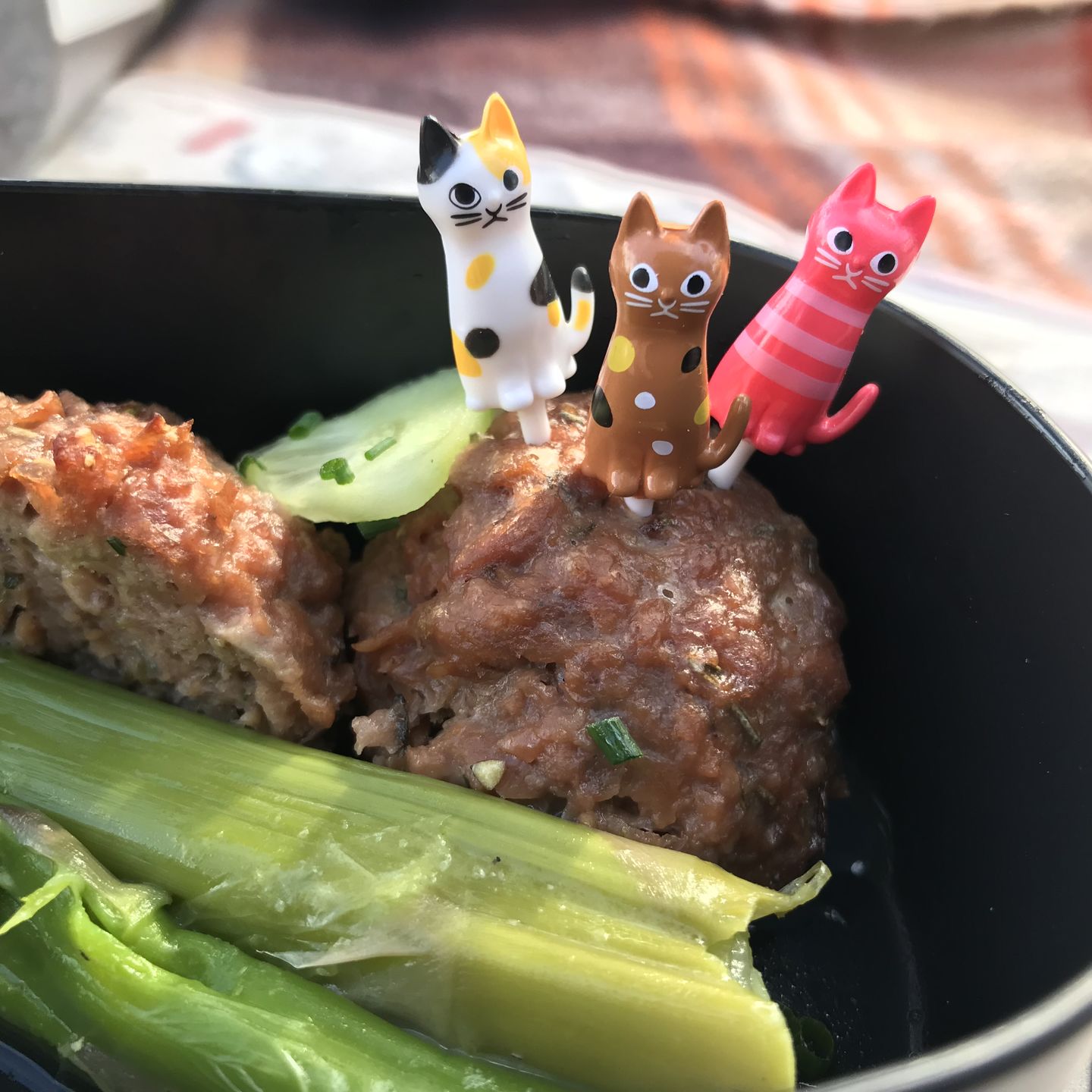 Customer photo review of Cat Picks