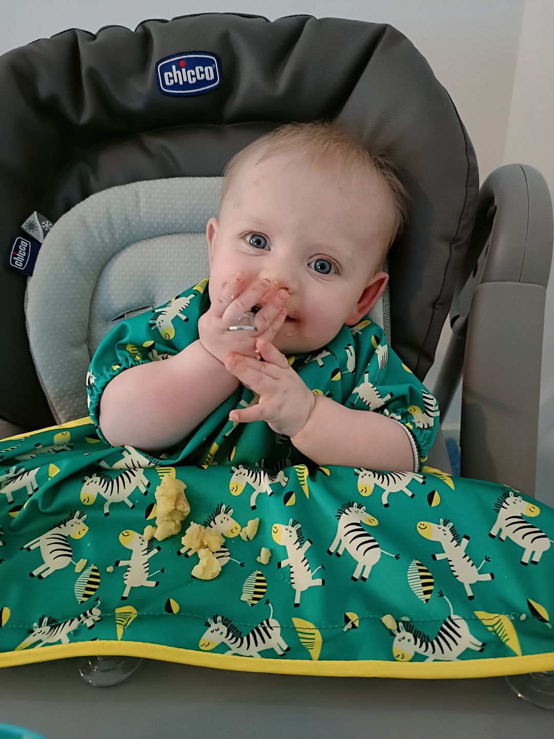 Customer photo review of Cover & Catch Bib