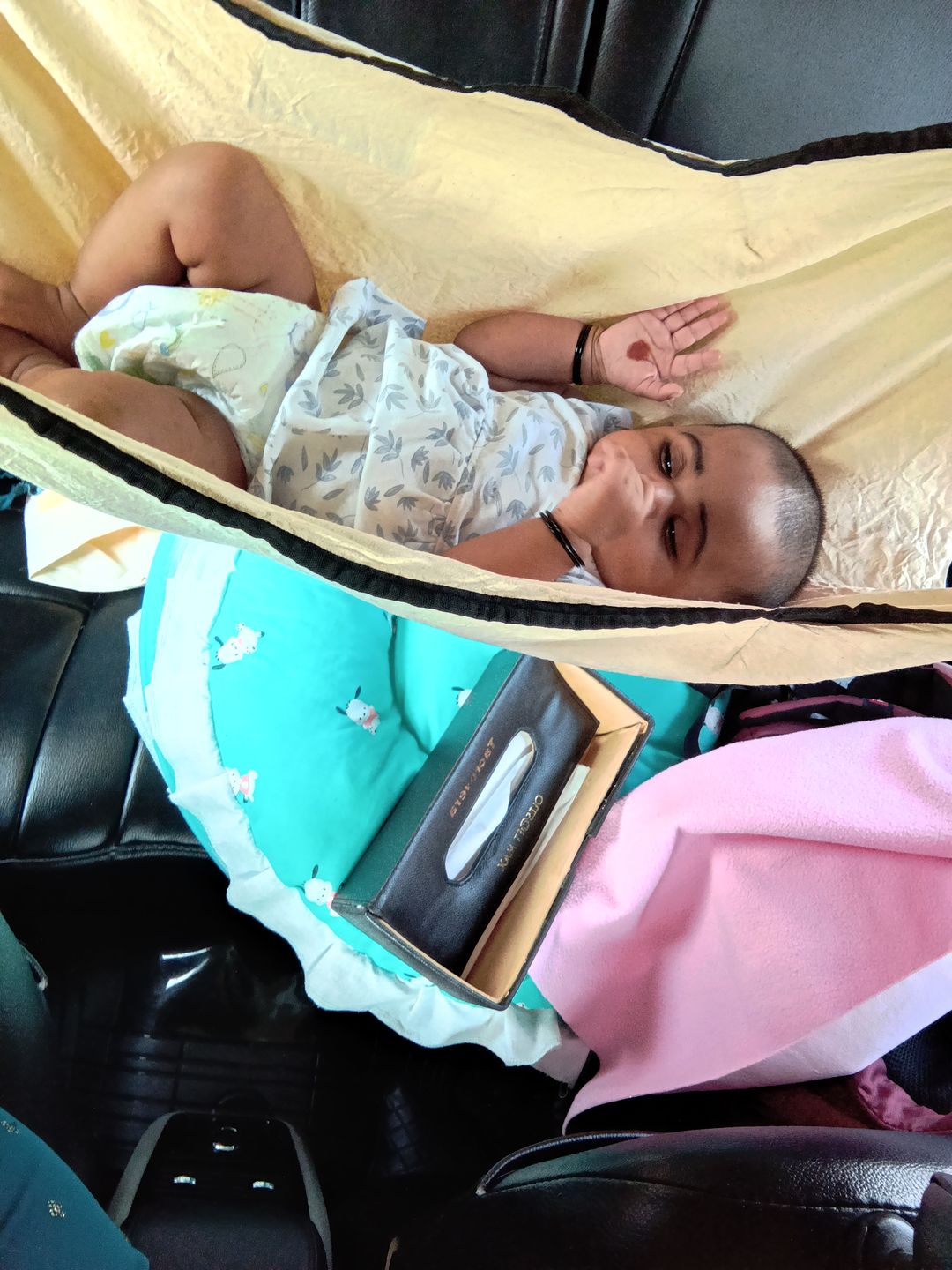 Customer photo review of CarNap - Portable Car Hammock for 0 to 3 year baby | with Adjustble Belt, Hammock Cloth, Hangers and Carry Bag