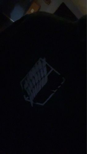 Customer photo review of Attack on Titan Wings of Liberty Hoodie