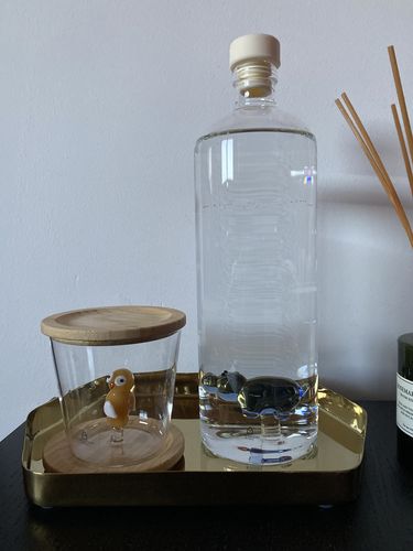Customer photo review of Woodland Tales TUMBLER