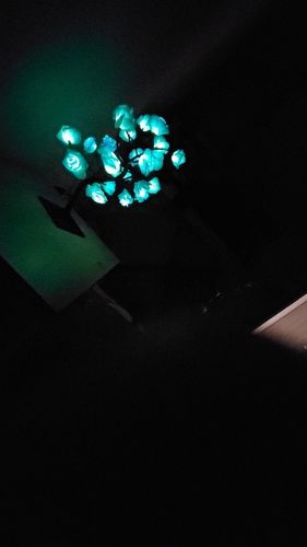 Customer photo review of Leddi™ Rose - Forever Rose Blomst Lampe