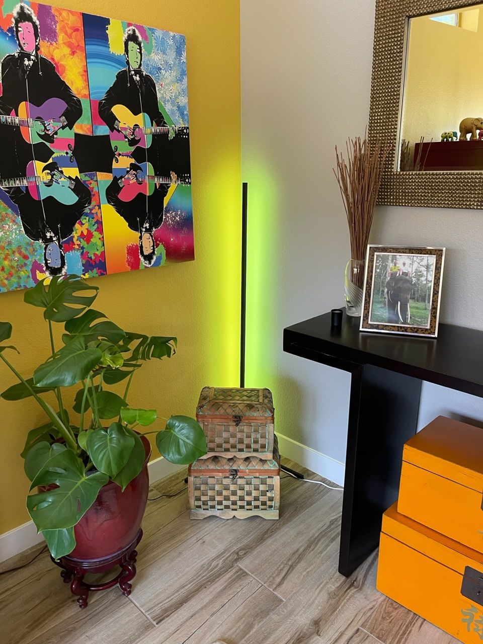 Customer photo review of LED Color Changing Light — LitLamp™