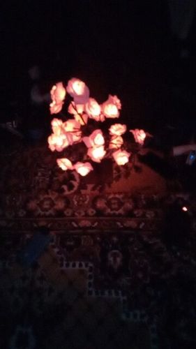 Customer photo review of Leddi™ Rose - Forever Rose Blomst Lampe