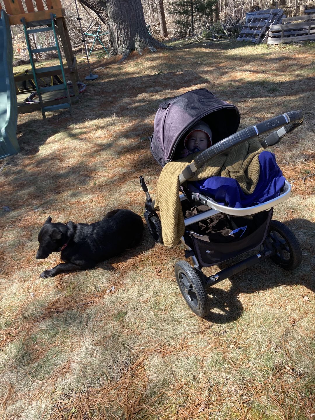Customer photo review of adventure blanket