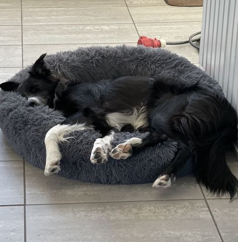 Customer photo review of CalmBed - Motverkar stress & hjälper mot ångest