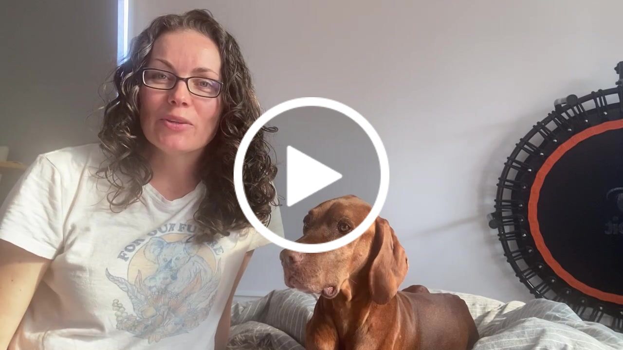 Customer video review of PRIMAL WILD PROTEIN - Raw Superfood Mix for Dogs