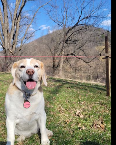 Customer photo review of Pink Silicone