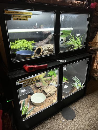 Customer photo review of XA3-BIO24 (36Lx24Hx24D) - STACKABLE
