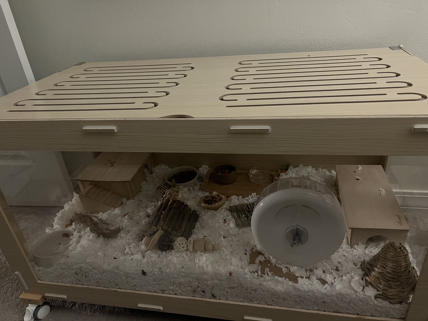 Customer photo review of Niteangel Bigger World MDF Terrarium Aspen Poplar Wooden Enclosure for Syrian and Dwarf Hamsters