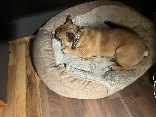 Customer photo review of Black